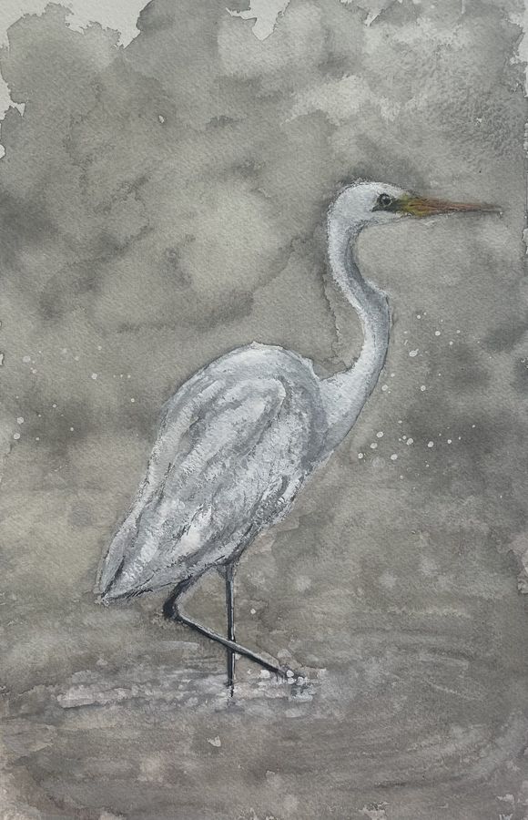 Abby’s Egret by Jenny W. Green: A white egret stepping through water against a soft gray background