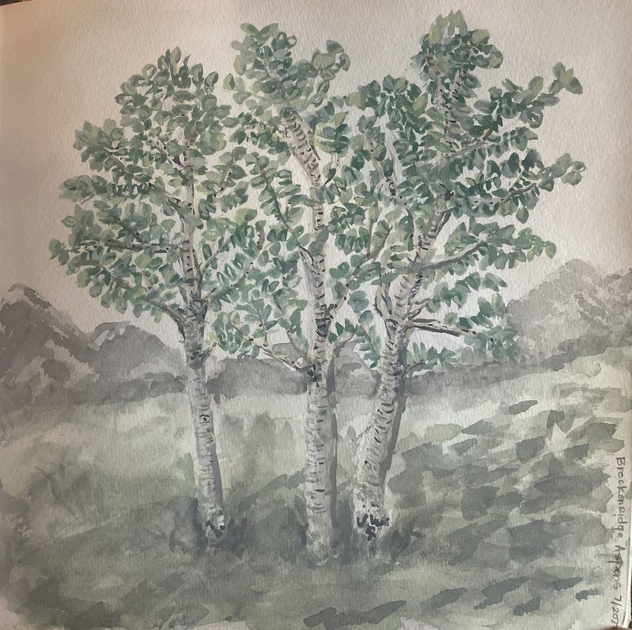 Breckenridge Aspens by Jenny W. Green: Three aspen trees in a soft green meadow with misty mountains behind
