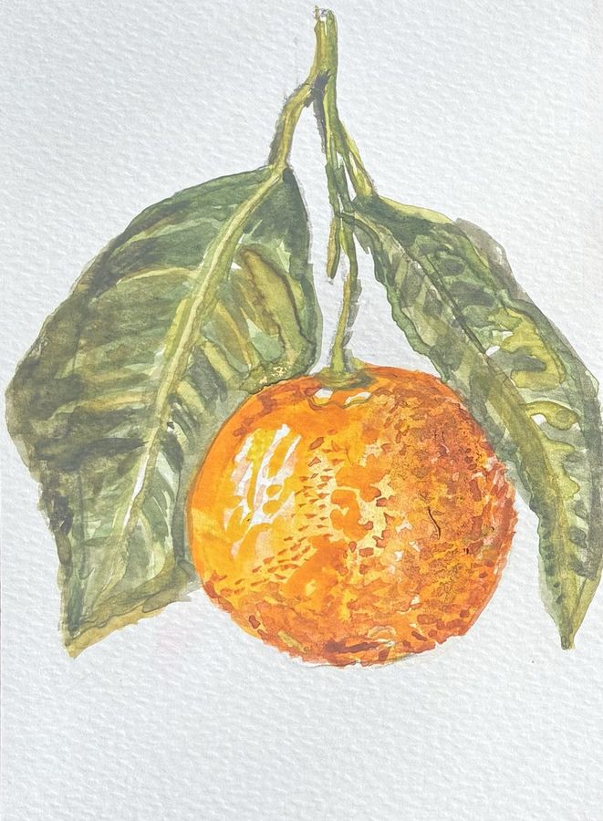 Clementine for Clemmie by Jenny W. Green: A single clementine hanging from a stem with two green leaves