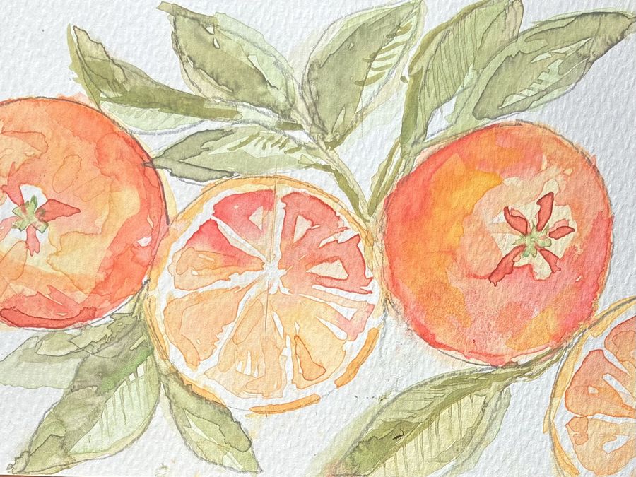 Clementines by Jenny W. Green: Whole and halved clementines among green leaves