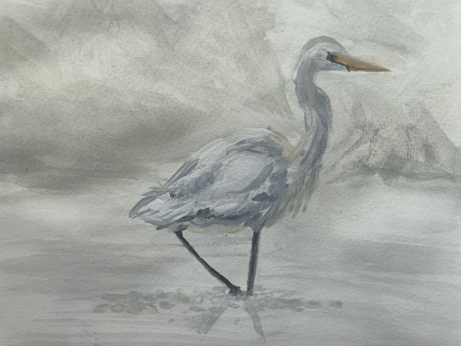Egret by Jenny W. Green: A white egret wading through misty gray water