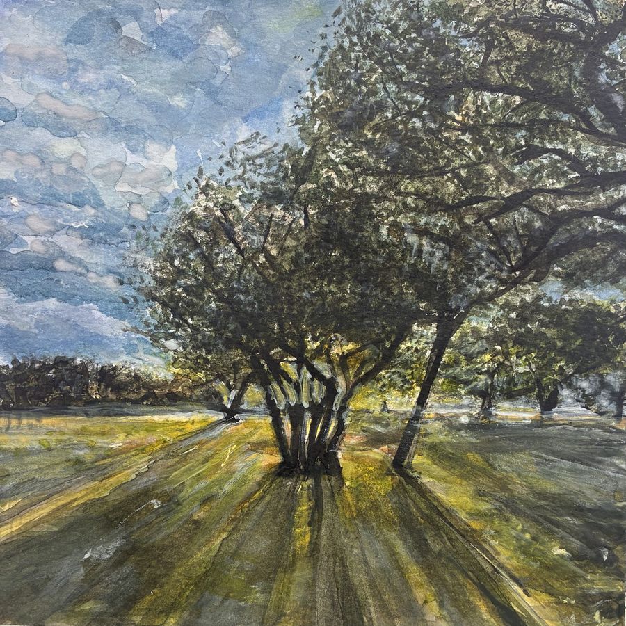 Golden Hour by Jenny W. Green: Late sun streaming through a grove of oak trees, long shadows across the grass