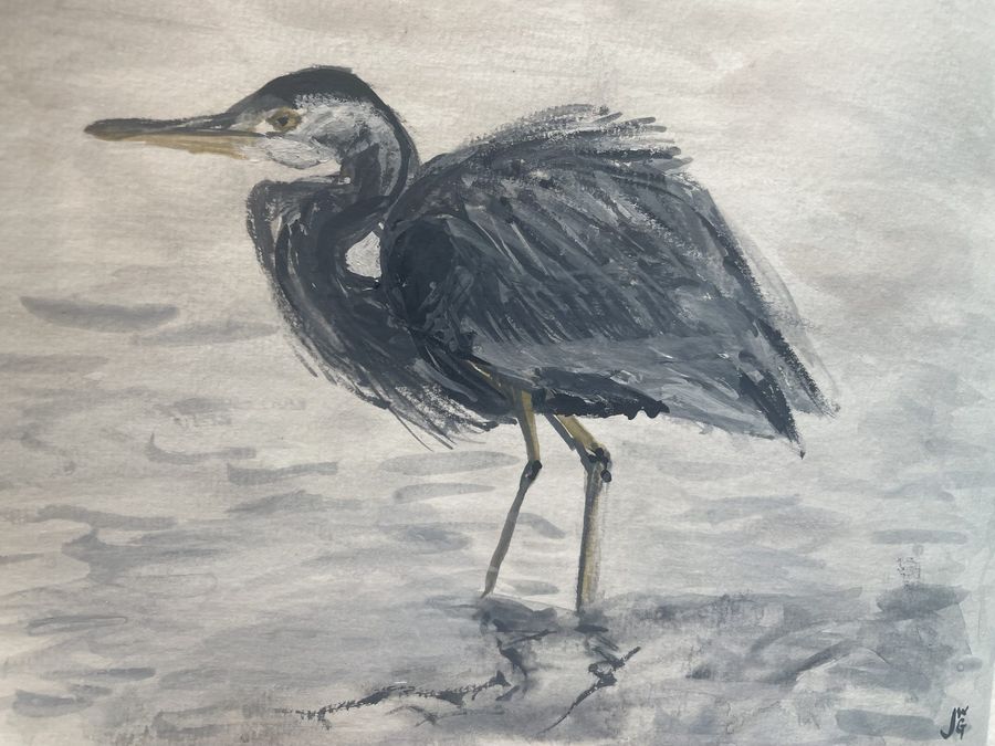 Gray Heron Study by Jenny W. Green: A gray heron standing in shallow water, painted in loose gray and black strokes