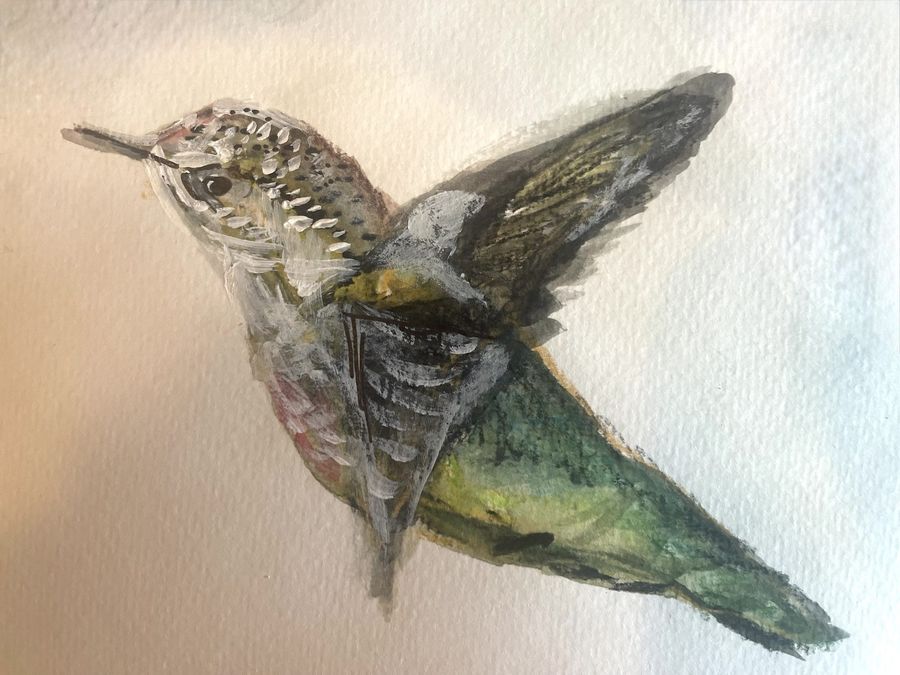 Hummingbird by Jenny W. Green: A hummingbird in flight with green wings and speckled head