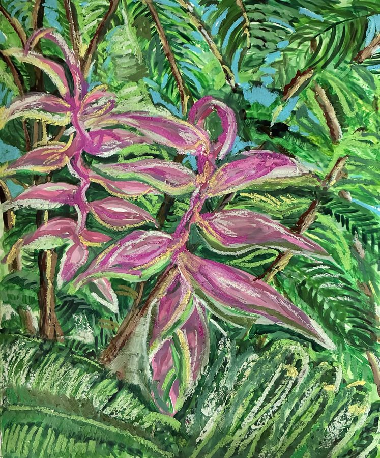 Maui Flamingos by Jenny W. Green: Pink heliconia flowers among lush green tropical leaves