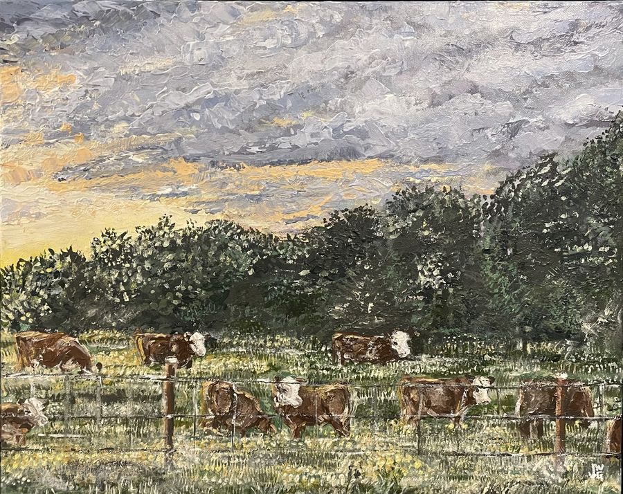 The Evening Moos by Jenny W. Green: Hereford cattle grazing behind a wire fence at sunset, golden light breaking through gray clouds